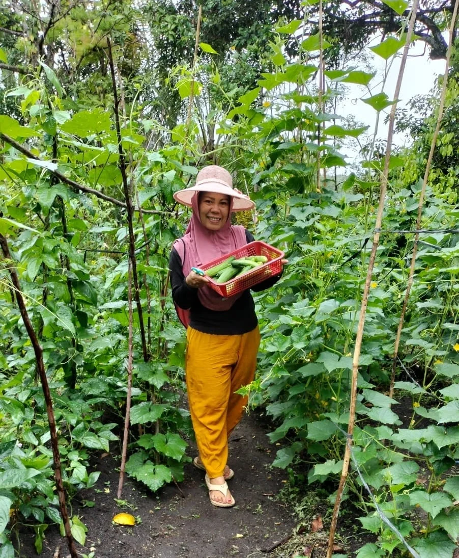 Kebun PKK Desa Kompas Raya Perkuat Ketahanan Pangan dan Pemberdayaan Perempuan