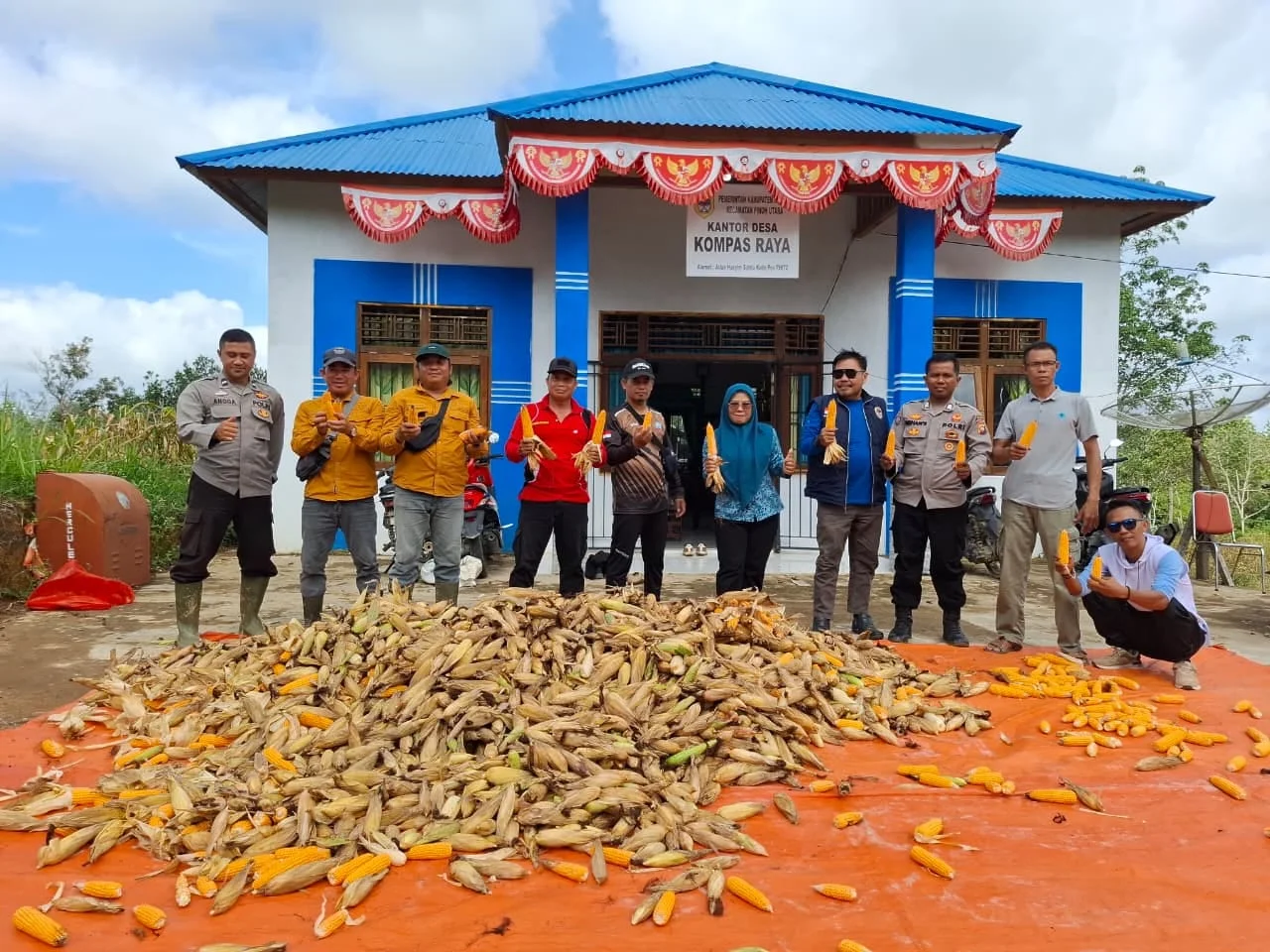 Panen Raya Jagung